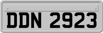 DDN2923