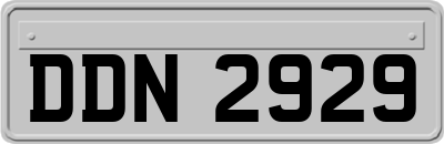 DDN2929