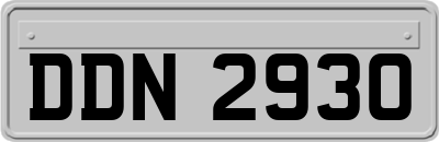 DDN2930