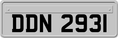 DDN2931