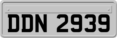 DDN2939