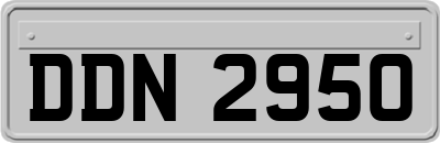 DDN2950