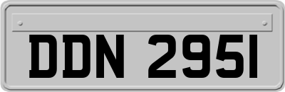 DDN2951