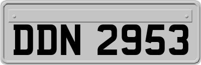 DDN2953