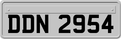 DDN2954