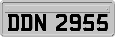 DDN2955