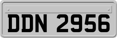DDN2956