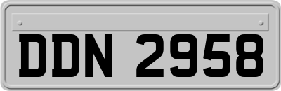 DDN2958