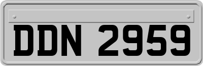 DDN2959