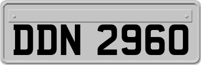 DDN2960