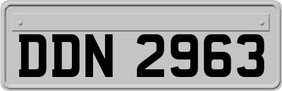 DDN2963