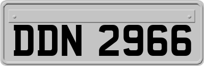DDN2966