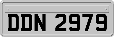DDN2979