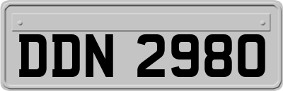 DDN2980