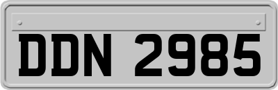 DDN2985