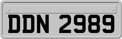 DDN2989