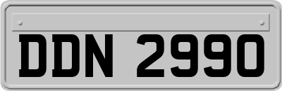 DDN2990