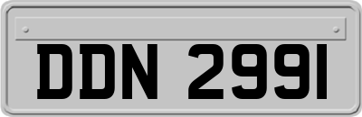DDN2991