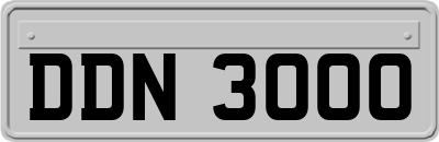 DDN3000