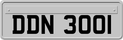 DDN3001