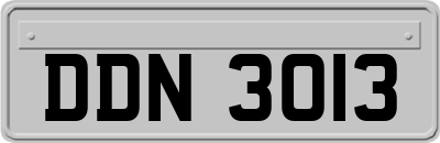 DDN3013