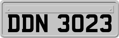 DDN3023