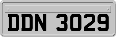 DDN3029