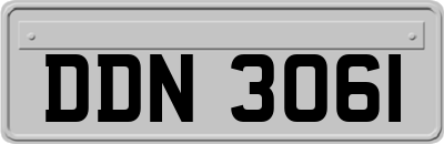 DDN3061