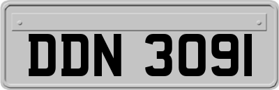 DDN3091