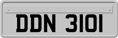 DDN3101