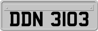 DDN3103