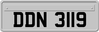 DDN3119