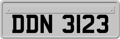 DDN3123