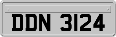 DDN3124