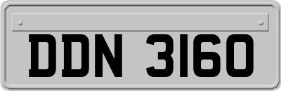 DDN3160