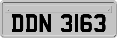 DDN3163