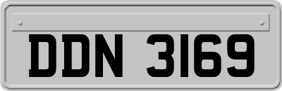 DDN3169