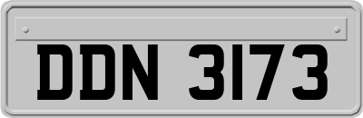 DDN3173