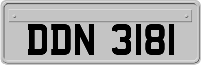 DDN3181