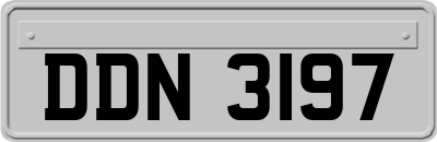 DDN3197