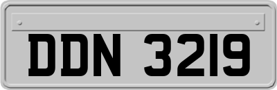 DDN3219