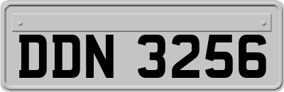 DDN3256