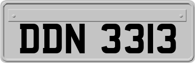 DDN3313
