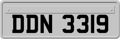 DDN3319