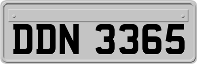 DDN3365