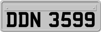DDN3599