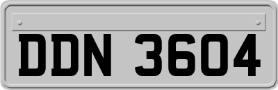 DDN3604