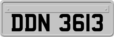 DDN3613