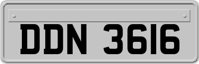 DDN3616