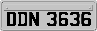 DDN3636
